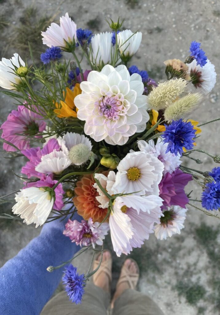 Flowers Flowers